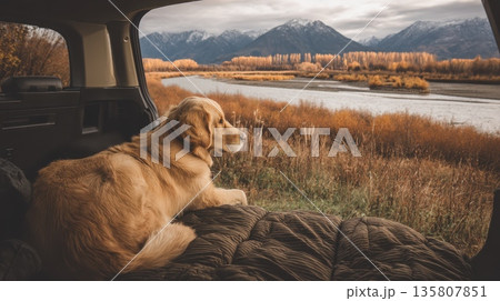 Scenic Road Trip with Pets: Car Trunk Open Overlooking Beautiful Landscape and Mountains 135807851