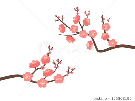 梅の花枝_両サイド・ピンク 梅の花枝_両サイド・ピンク 135808190