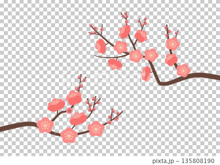 梅花枝，兩邊都是粉紅色 135808190