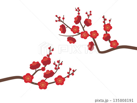 梅の花枝_両サイド・赤 梅の花枝_両サイド・赤 135808191