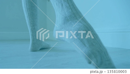 Lifting adult woman's feet in thick knit socks on pale wooden floor near white baseboard 135810003