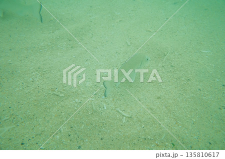 various 135810617