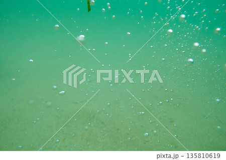 various various 135810619