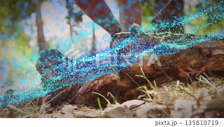 Stepping sneakered foot onto decaying log on forest floor in outdoor pants amid digital particles Stepping sneakered foot onto decaying log on forest floor in outdoor pants amid digital particles 135810719