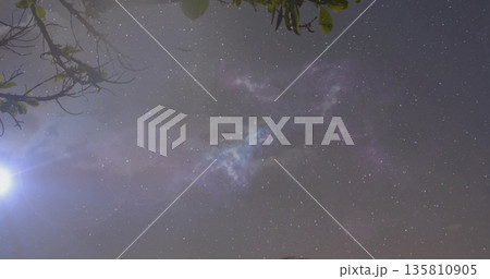 Displaying night sky in forest clearing with nebula band and bright planet over leafy branches 135810905