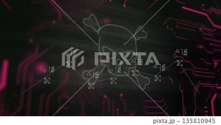 Displaying white outline skull and crossbones in hacker UI showing data nodes with magenta traces Displaying white outline skull and crossbones in hacker UI showing data nodes with magenta traces 135810945