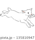 手紙をくわえた走る白い子ヤギの手書き風イラスト 135810947