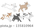 手紙をくわえた走る子ヤギの手書き風イラストセット 135810964