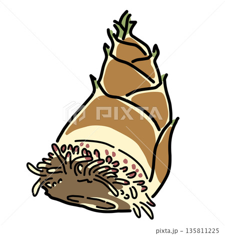 掘りたてで根がついたままの大きなたけのこ　シンプルなイラスト　 135811225