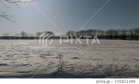 晴れた雪原 晴れた雪原 135811386