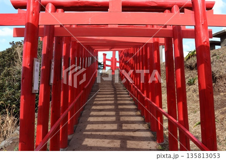 元乃隅神社の鳥居 元乃隅神社の鳥居 135813053