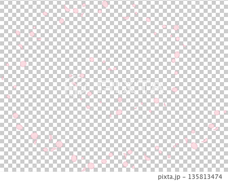 螺旋状に花びらが舞う桜吹雪のイラスト（線あり） 135813474