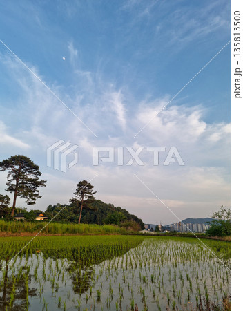 This is a rural landscape in spring. 135813500