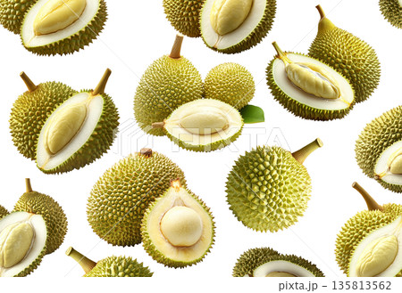 Whole and cut durian fruits arranged in a seamless pattern, isolated on white background. Concept of tropical food and exotic fruit Whole and cut durian fruits arranged in a seamless pattern, isolated on white background. Concept of tropical food and exotic fruit 135813562