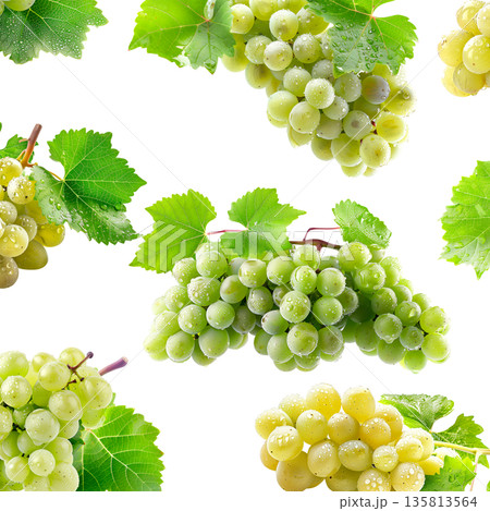Juicy green grapes with water droplets and fresh leaves scattered and on white background, concept of freshness and healthy fruit 135813564