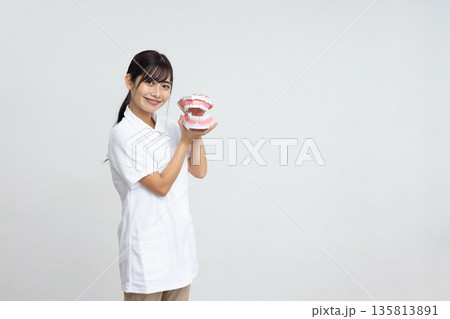 白背景の前で歯の模型を持って微笑む白衣を着た若い女性 白背景の前で歯の模型を持って微笑む白衣を着た若い女性 135813891