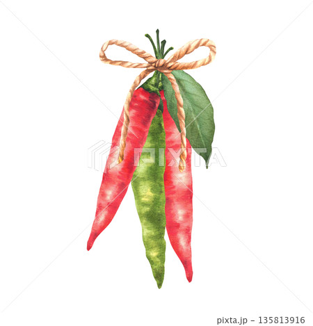 Red and green chili peppers pods tied together with rope and leaf. Watercolor hand painted illustration with spicy natural Asian vegetable seasoning. Isolated from background for culinary, food Red and green chili peppers pods tied together with rope and leaf. Watercolor hand painted illustration with spicy natural Asian vegetable seasoning. Isolated from background for culinary, food 135813916