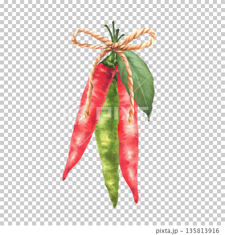 Red and green chili peppers pods tied together with rope and leaf. Watercolor hand painted illustration with spicy natural Asian vegetable seasoning. Isolated from background for culinary, food Red and green chili peppers pods tied together with rope and leaf. Watercolor hand painted illustration with spicy natural Asian vegetable seasoning. Isolated from background for culinary, food 135813916