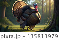 Proud wild turkey strutting in serene forest glade at sunrise 135813979