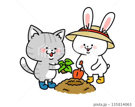 苗の植え付けをする仲良し猫とウサギ 135814063
