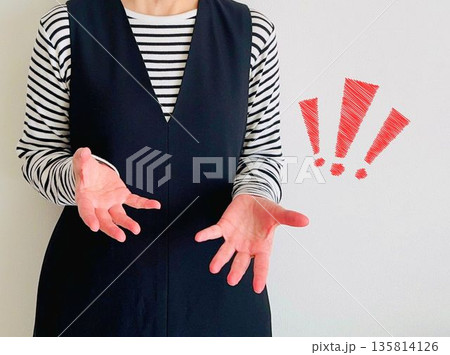 身振り手振りで説明する女性 身振り手振りで説明する女性 135814126