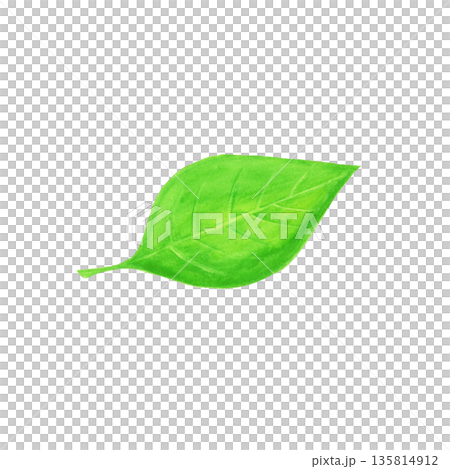 手描き水彩の葉っぱ1枚イラスト 手描き水彩の葉っぱ1枚イラスト 135814912