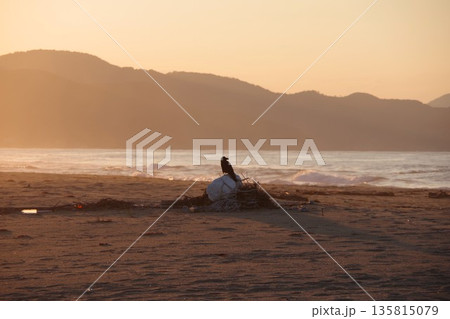 京都府京丹後市 夕暮れの夕日ヶ浦海岸 京都府京丹後市 夕暮れの夕日ヶ浦海岸 135815079