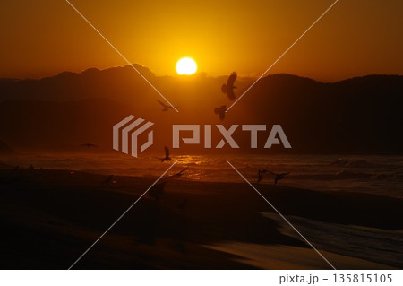 京都府京丹後市 夕日ヶ浦海岸から夕陽を望む 京都府京丹後市 夕日ヶ浦海岸から夕陽を望む 135815105