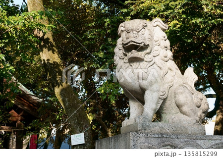 豊国神社　こま犬　阿形 135815299