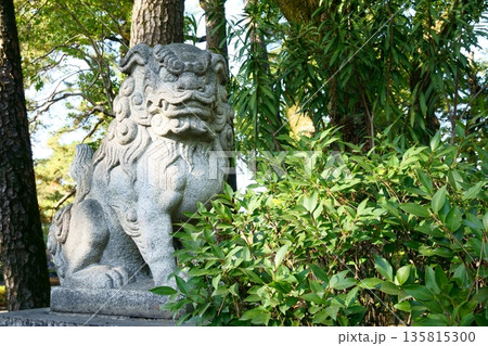 豊国神社　吽形のこま犬 135815300