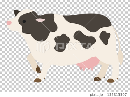 可愛的向量插圖,描繪了一頭乳牛抬起一條腿站立的情景。 可愛的向量插圖,描繪了一頭乳牛抬起一條腿站立的情景。 135815597