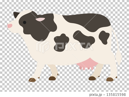 Cute vector illustration of a cow walking leisurely sideways 135815598