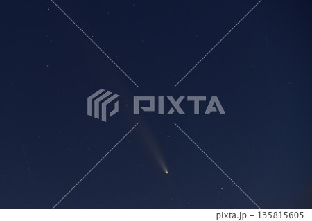 紫金山・アトラス彗星 紫金山・アトラス彗星 135815605