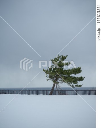 冬の日本海と岩礁、静かな海岸風景 冬の日本海と岩礁、静かな海岸風景 135815884