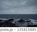 冬の日本海と岩礁、静かな海岸風景 135815885
