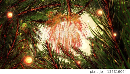 Image of light spots and fireworks over fir tree Image of light spots and fireworks over fir tree 135816064