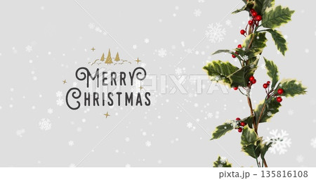 Image of merry christmas text over snow falling and plant Image of merry christmas text over snow falling and plant 135816108
