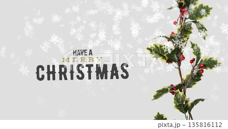 Image of merry christmas text over snow falling and plant Image of merry christmas text over snow falling and plant 135816112