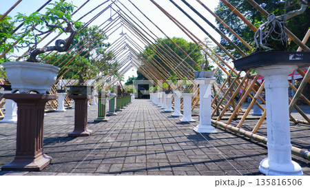 Low Angle View of Bonsai Exhibition Under Bamboo Roof 135816506