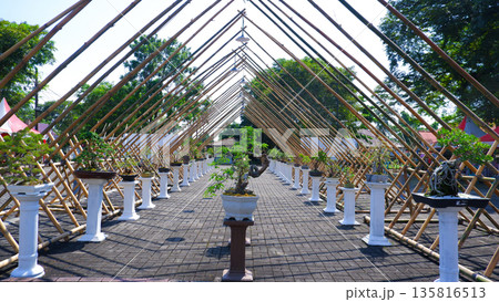 Centered View of Bamboo Frame Over Bonsai Pathway 135816513