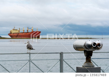 Seagull and binoculars overlooking rusted cargo ship 135817469