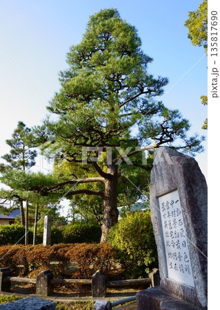 大正天皇御手植えの松と石碑 大正天皇御手植えの松と石碑 135817690