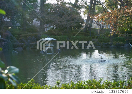 灯籠のある池 中村公園 ひょうたん池 灯籠のある池 中村公園 ひょうたん池 135817695