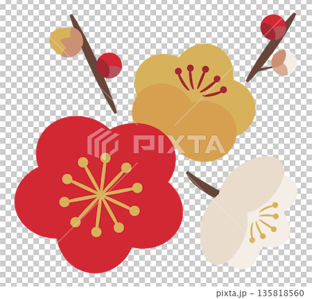 Plum blossoms and buds_3 colors 135818560