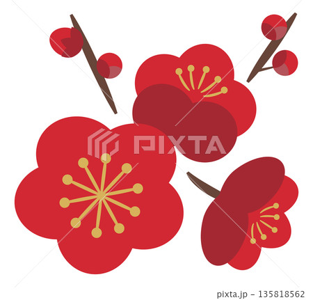 梅の花と蕾_赤 135818562