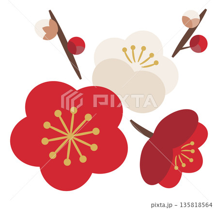 梅の花と蕾_紅白 梅の花と蕾_紅白 135818564