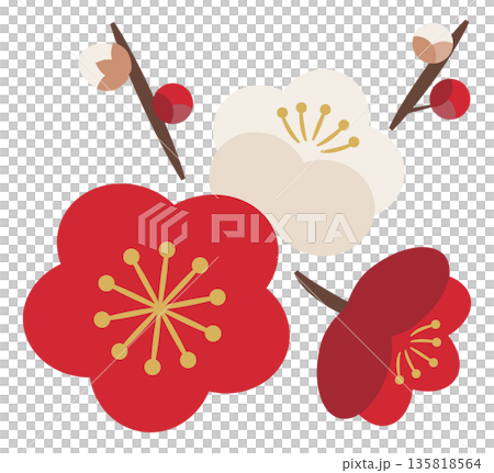 Plum blossoms and buds_red and white 135818564