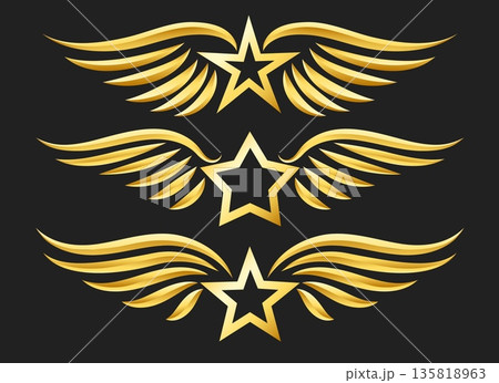 Golden star with wings logo set 135818963