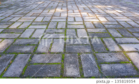 Wide Angle View of Paved Ground with Sunlight and Moss Details Wide Angle View of Paved Ground with Sunlight and Moss Details 135819354