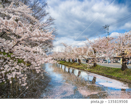 弘前公園外濠の水面に映り込む満開の桜並木と遠くに見える岩木山 (青森県、弘前市) 135819508